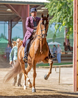 CA_Springfest19_Sun_2896
