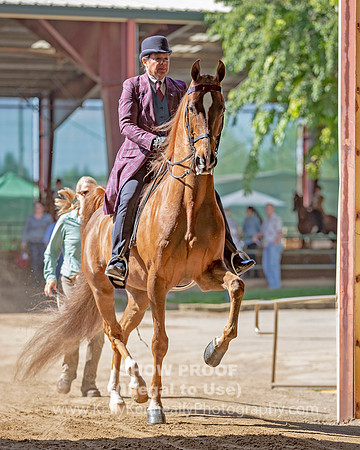 CA_Springfest19_Sun_2896