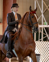 CA_Springfest19_Sun_2907