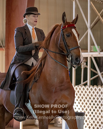 CA_Springfest19_Sun_2907