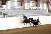 CA_Springfest19_Sun_2886