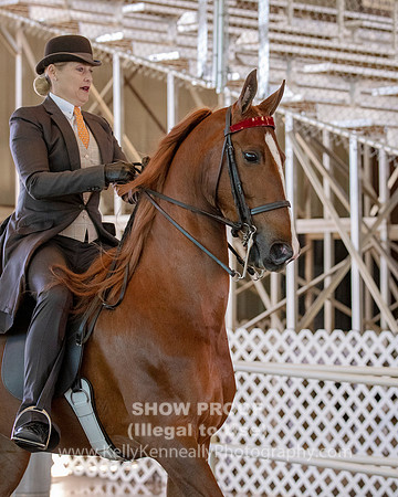 CA_Springfest19_Sun_2908