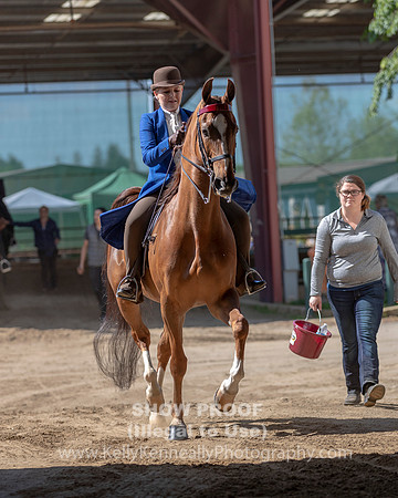 CA_Springfest19_Sun_2912