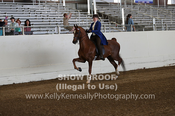 CA_Springfest19_Sun_2938