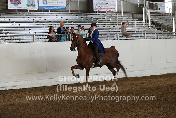 CA_Springfest19_Sun_2939