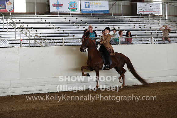 CA_Springfest19_Sun_2941
