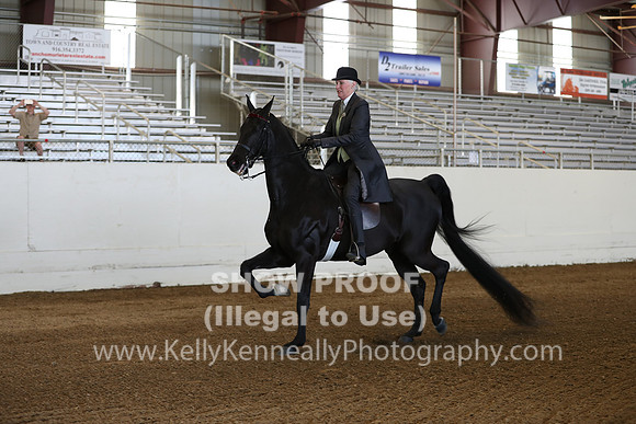 CA_Springfest19_Sun_2950