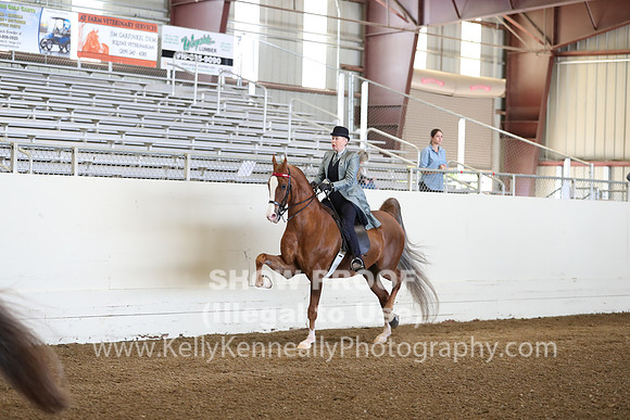 CA_Springfest19_Sun_2962