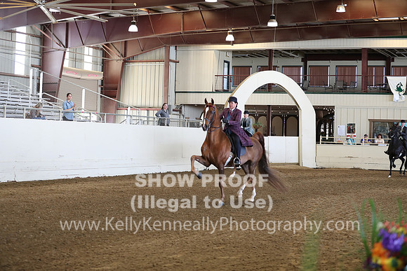 CA_Springfest19_Sun_2959