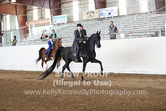 CA_Springfest19_Sun_2967