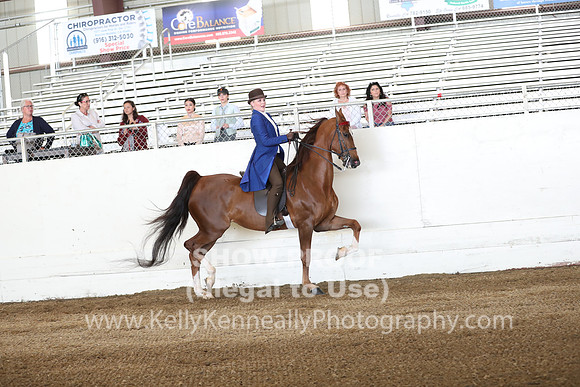 CA_Springfest19_Sun_2970