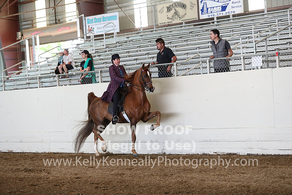 CA_Springfest19_Sun_2973