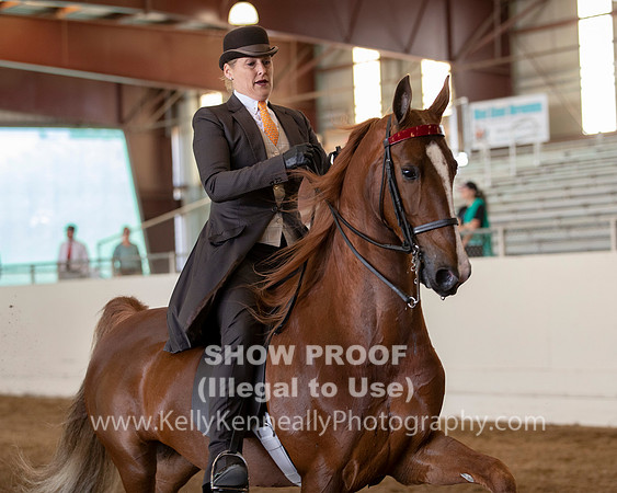 CA_Springfest19_Sun_2976
