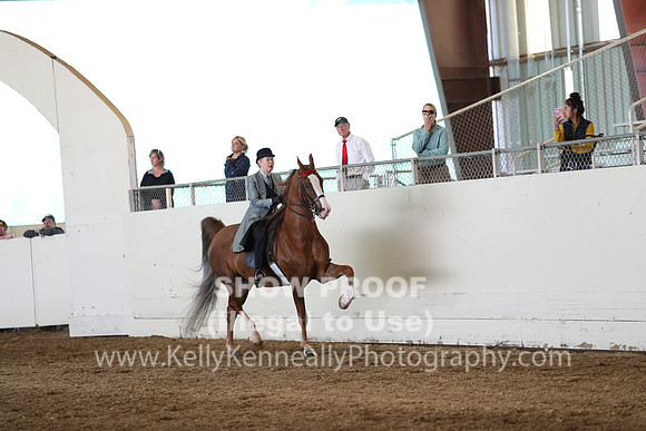CA_Springfest19_Sun_2981