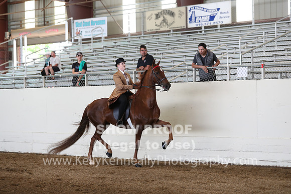 CA_Springfest19_Sun_2977