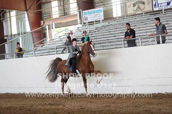 CA_Springfest19_Sun_2984
