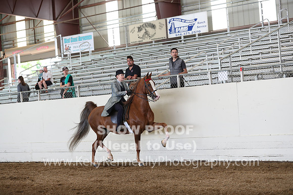 CA_Springfest19_Sun_2985