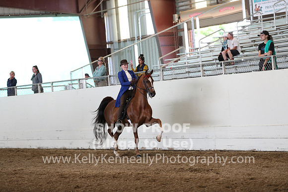 CA_Springfest19_Sun_2989