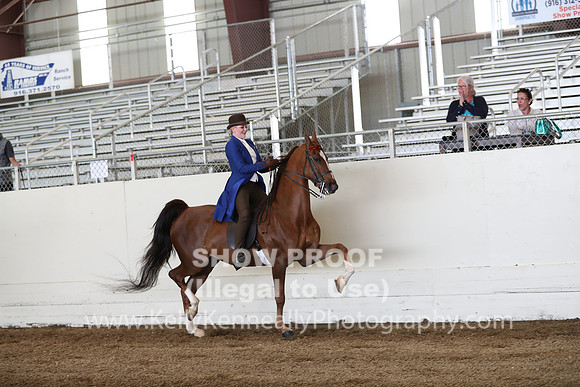 CA_Springfest19_Sun_2992