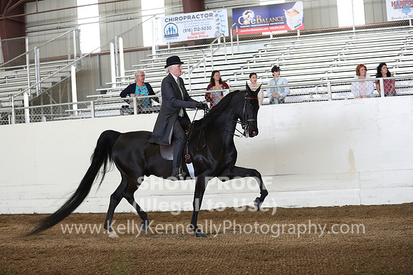 CA_Springfest19_Sun_2994