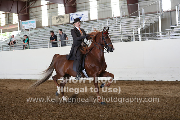 CA_Springfest19_Sun_2995