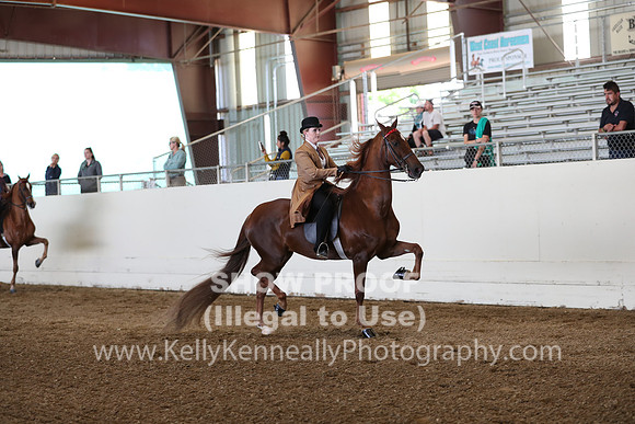 CA_Springfest19_Sun_2996