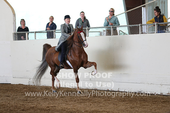 CA_Springfest19_Sun_3008