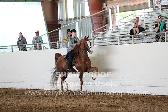 CA_Springfest19_Sun_3009