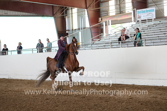 CA_Springfest19_Sun_3020