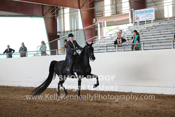 CA_Springfest19_Sun_3024