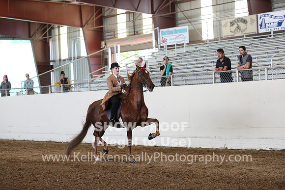 CA_Springfest19_Sun_3028