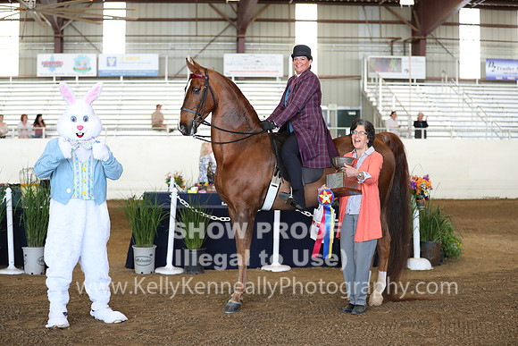 CA_Springfest19_Sun_3037