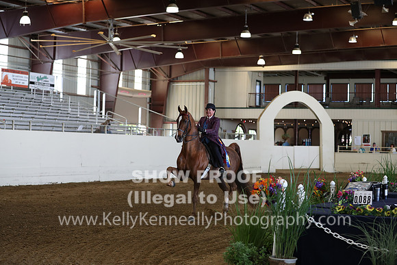 CA_Springfest19_Sun_3040