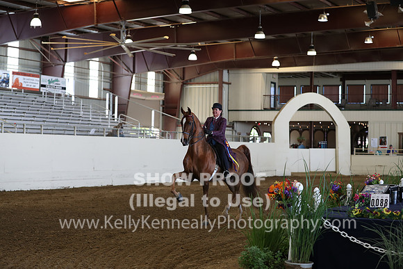 CA_Springfest19_Sun_3041