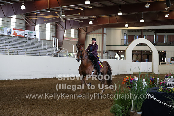 CA_Springfest19_Sun_3043