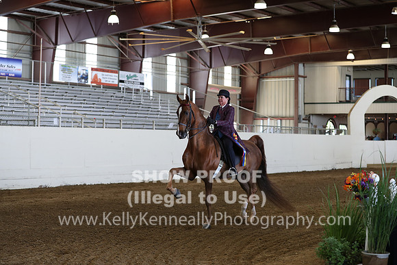 CA_Springfest19_Sun_3045