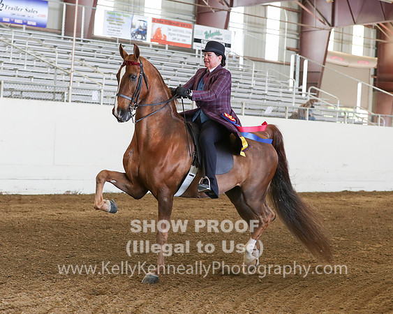 CA_Springfest19_Sun_3047