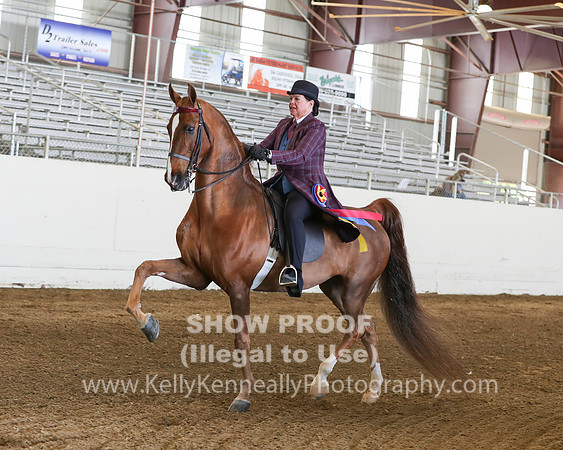 CA_Springfest19_Sun_3048
