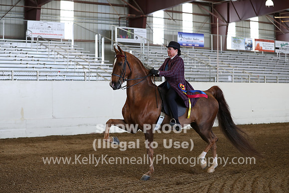 CA_Springfest19_Sun_3051