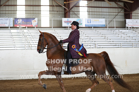 CA_Springfest19_Sun_3054