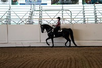 Class 88 Morgan Western Pleasure Amateur Junior Exhibitor Championship