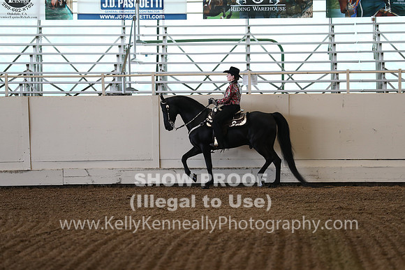 CA_Springfest19_Sun_3059