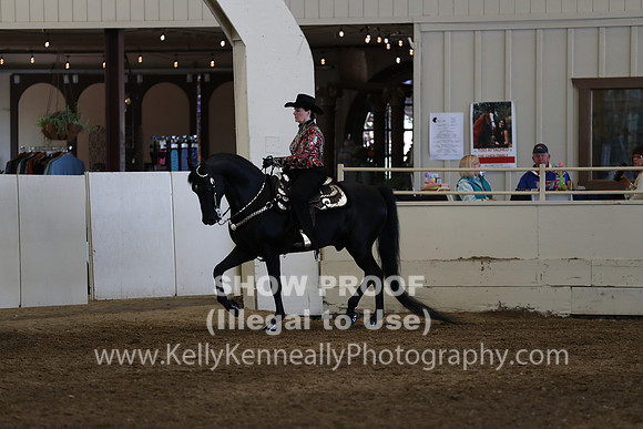CA_Springfest19_Sun_3065