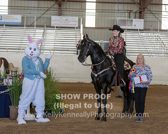 CA_Springfest19_Sun_3076