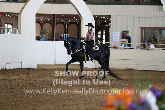 CA_Springfest19_Sun_3080