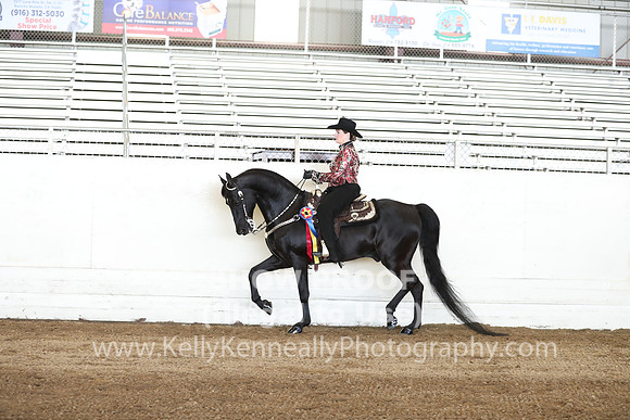 CA_Springfest19_Sun_3087