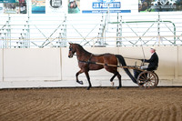 Class 89 Open Pleasure Driving Stake