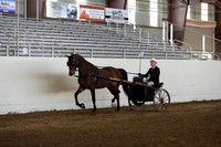 CA_Springfest19_Sun_3093