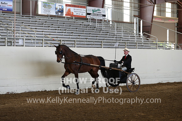 CA_Springfest19_Sun_3093