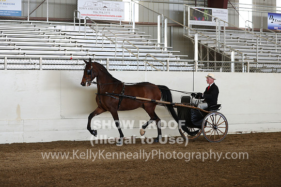 CA_Springfest19_Sun_3094